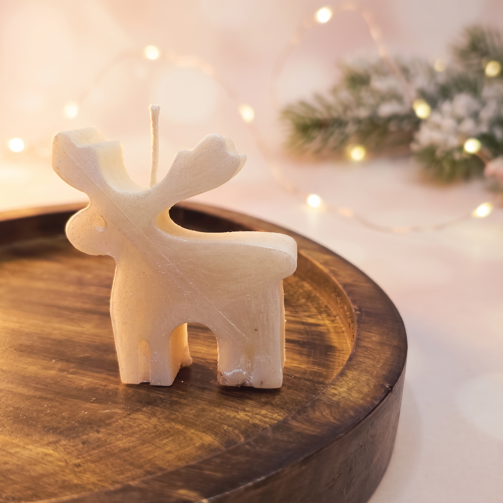 Little Reindeer